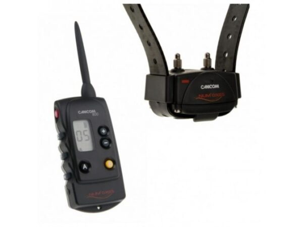 COLLIER NUM'AXES CANICOM 800