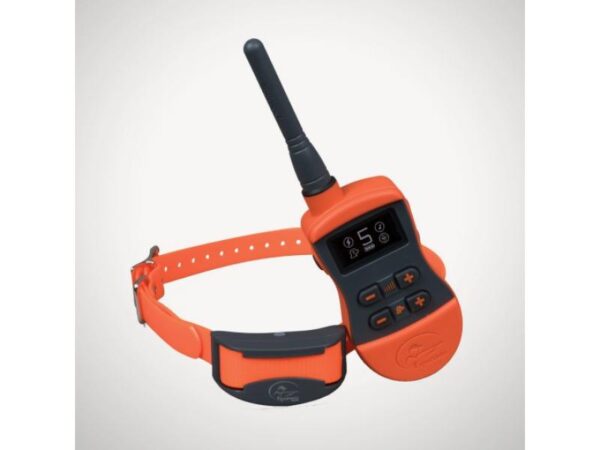 COLLIER SPORT DOG SD-875E