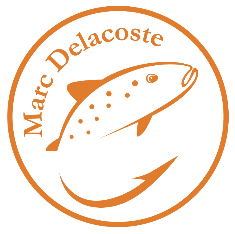 Moulinet Loxus DM – Image 3